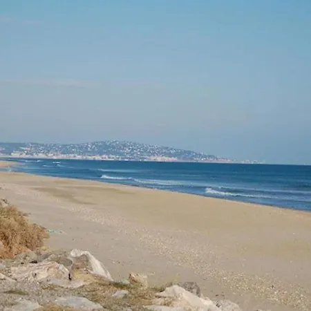 Arca Noae Sète
